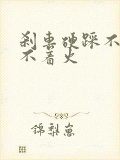 刹车硬踩不动打不着火