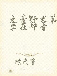 文豪野犬第一二季在哪看