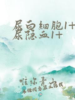 尿白细胞1+ 尿隐血1+