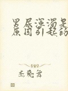 男尿浑浊是什么原因引起的