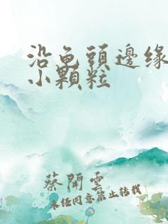 沿龟头边缘一圈小颗粒