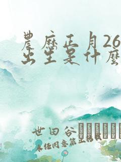 农历正月26日出生是什么命