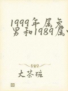 1999年属兔男和1989属蛇女合适吗