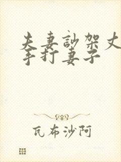 夫妻吵架丈夫动手打妻子