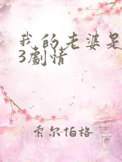 我的老婆是大佬3剧情