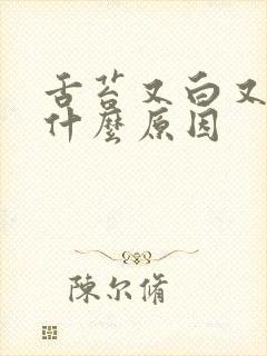 舌苔又白又厚是什么原因