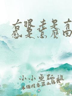 右眼老是有异物感是怎么回事