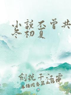 小说不曾共度凛冬初夏
