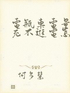 电瓶车电量过低充不进电怎么办??