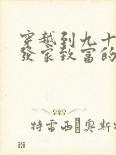 穿越到九十年代发家致富的小说