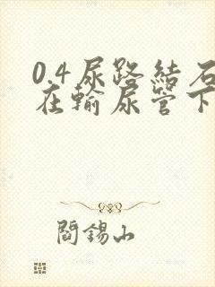 0.4尿路结石在输尿管下段