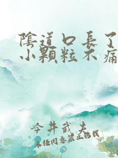 阴道口长了很多小颗粒不痛不痒