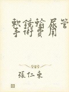 软镜输尿管结石手术费用