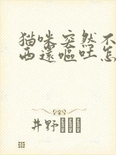 猫咪突然不吃东西还呕吐怎么办