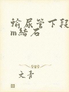 输尿管下段7mm结石