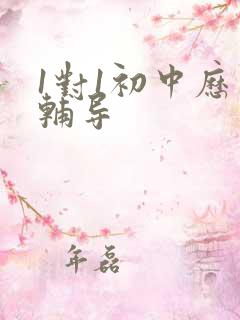 1对1初中历史辅导