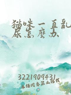 猫咪一直乱拉乱尿怎么办