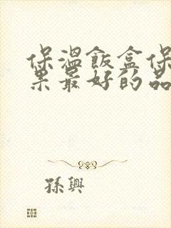 保温饭盒保温效果最好的品牌