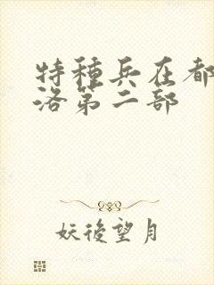 特种兵在都市杨洛第二部