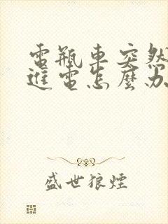 电瓶车突然充不进电怎么办