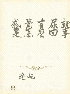 感觉有尿就尿漏是怎么回事