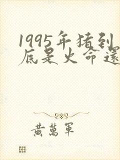 1995年猪到底是火命还是木命