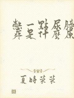 憋一点尿膀胱就疼是什么原因