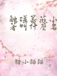 触碰蔷薇小说原著叫什么名字