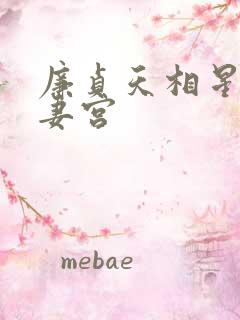 廉贞天相星在夫妻宫