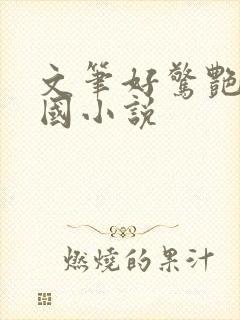 文笔好惊艳的民国小说