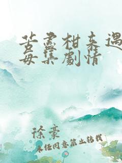 苦尽柑来遇见你每集剧情