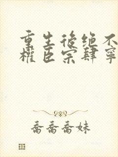 重生后绝不嫁给权臣宗肆宁芙的小说