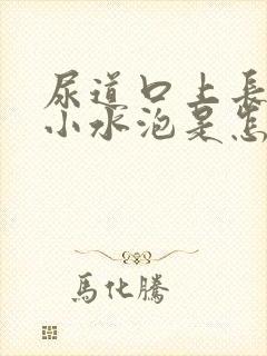 尿道口上长了个小水泡是怎么回事