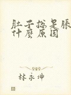 肚子总是胀气是什么原因