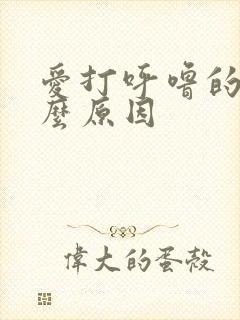 爱打呼噜的人什么原因