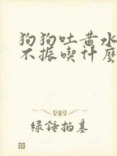 狗狗吐黄水食欲不振吃什么药