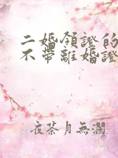 二婚领证的时候不带离婚证能领证么