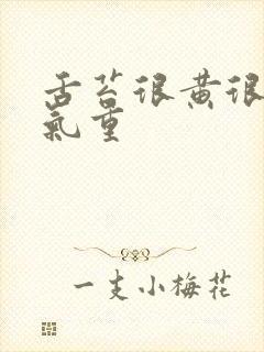 舌苔很黄很厚湿气重