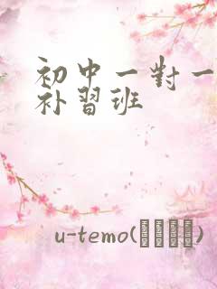 初中一对一物理补习班