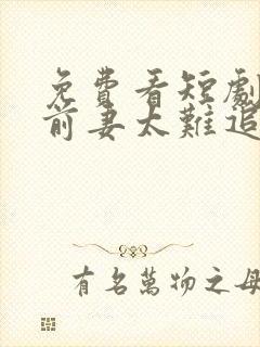 免费看短剧重生前妻太难追