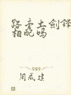 路旁土剑锋金命相配吗