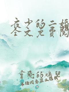 夜少的二婚新妻全文免费阅读全文