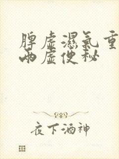 脾虚湿气重气血两虚便秘