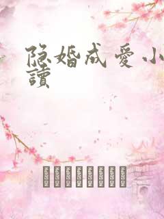 隐婚成爱小说阅读