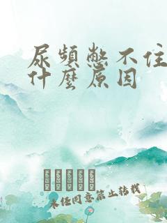 尿频憋不住尿是什么原因