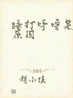 睡打呼噜是什么原因