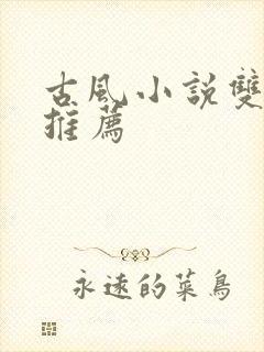 古风小说双男主推荐