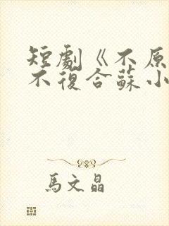 短剧《不原谅,不复合苏小姐独美》