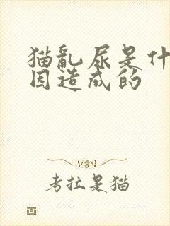 猫乱尿是什么原因造成的