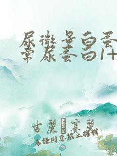 尿微量白蛋白正常尿蛋白1+